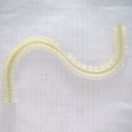 西湖巴爾口外弓大小